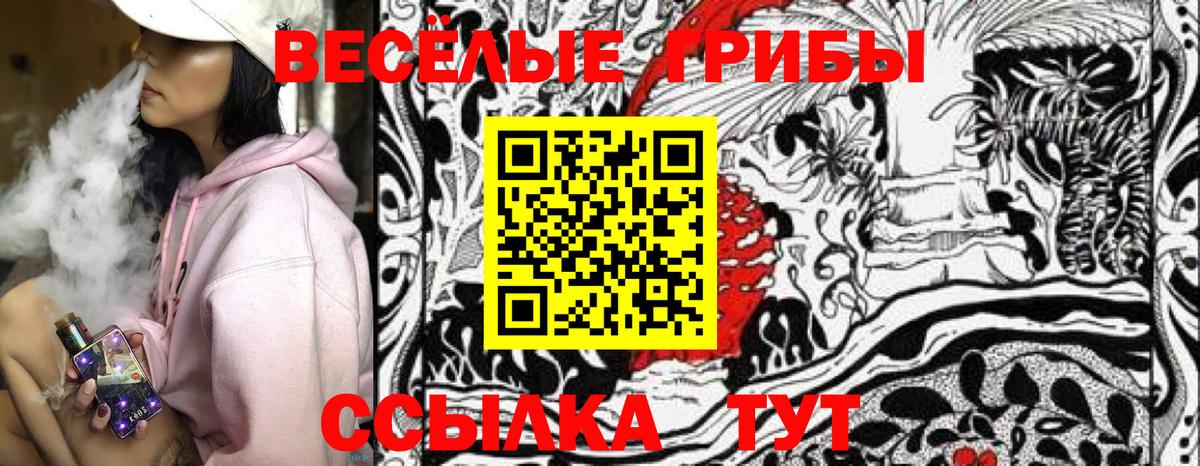 сколько стоит  Вход с VPN  Псилоцибиновые грибы ЛСД  Апатиты  Галлюциногенные грибы ЛСД 